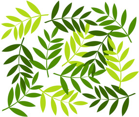 Green leaf background