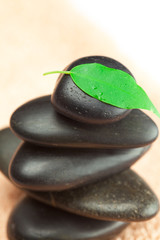 black spa stones  with green leaf and a drop of water on the tow