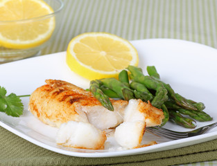 Fish Fillet Meal