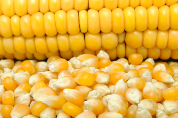 Corn And Corncob