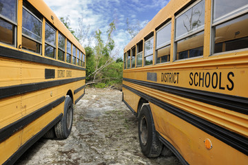 Parked yellow school buses in Governor's Harbour
