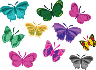 Beautiful colorful butterflies on white background