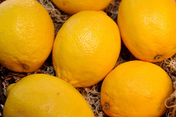 Fresh Lemons
