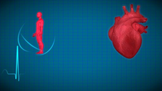 Leistungsmonitor Herz und Kreislauf