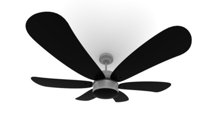 Black 3D Fan