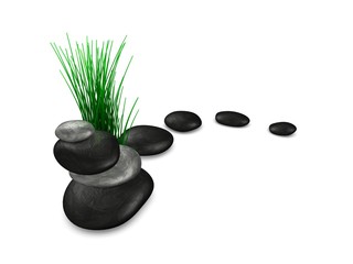 Fototapeta na wymiar Zen stones and plant