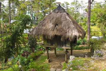Fototapeta na wymiar Palm Thatched Hut in a jungle