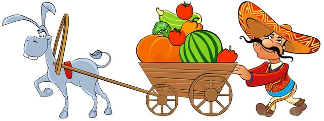 Mexican with a cart of vegetables pulled by a donkey. © Regisser.com