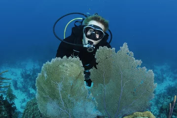 Plexiglas foto achterwand scuba divers decend on to dive site © JonMilnes