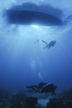 silouetted scuba divers desend on a dive