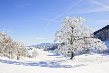 landschaft in bayern