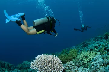Foto auf Acrylglas Tauchen scuba diver swims on tropical coral reef