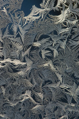 Hoarfrost on window