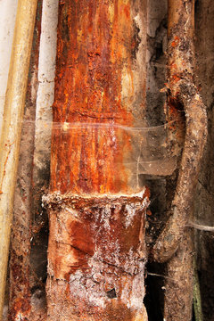 Cobwebby old rusty soil-pipes