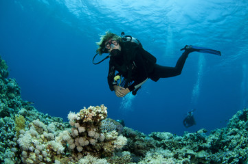 Fototapeta na wymiar scuba divers decend on to dive site