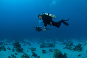 Fototapeta na wymiar scuba divers having fun