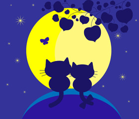 влюбленные кошки