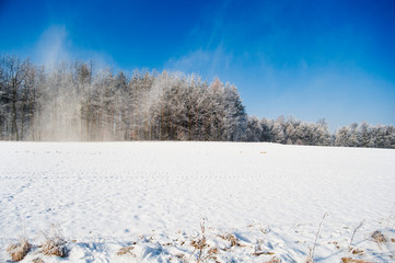 snowstorm on the winter field panorama