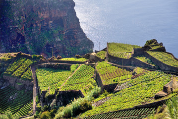 South coast of Madeira island, Rancho - Portugal