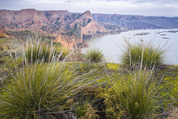 Barrancas de Castrejón