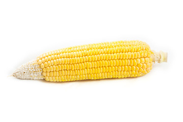 Corn