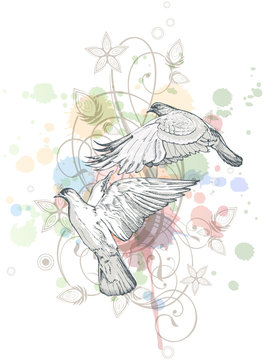 Flying doves & color paint background