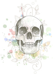 Skull sketch & floral calligraphy ornament - a stylized orchid,