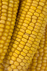 Corn