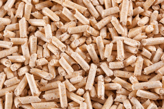 Pellet wallpaper