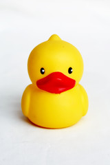 Duck toy