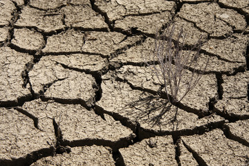 Tierra seca 1