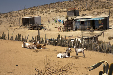 Fototapeta na wymiar Poor houses in desert