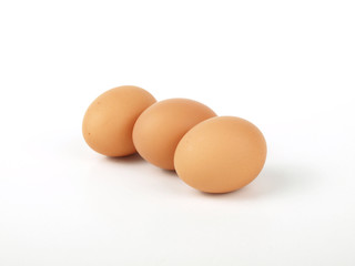 eggs
