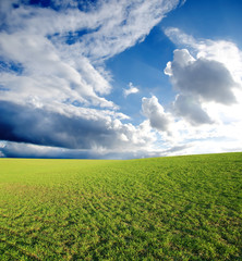 Fototapeta na wymiar field with green grass under deep blue sky with clouds
