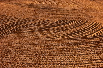 Spuren im Sand