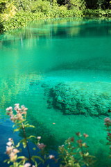 Fototapeta na wymiar Azure water on Plitvice Lakes