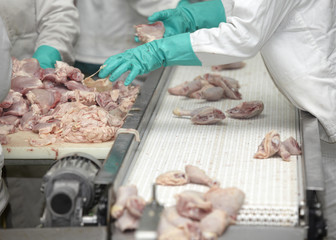 poultry processing meat food industry