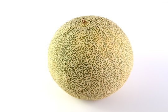 Netzmelone