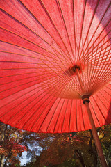Red Japanese Umbrella