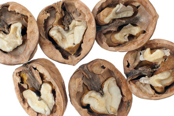 Walnuts close-up