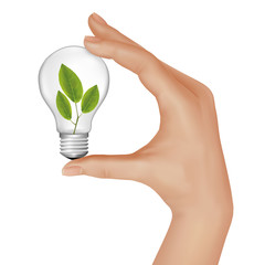 Plant inside light bulb in hand. Vector illustration