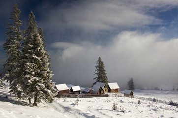 Winter landscape