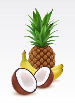 Fresh pineapple, bananas and coconut