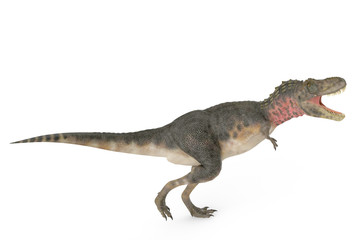 Obraz na płótnie Canvas tarbosaurus walking side view