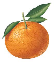 Tangerine