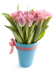 Special tulips