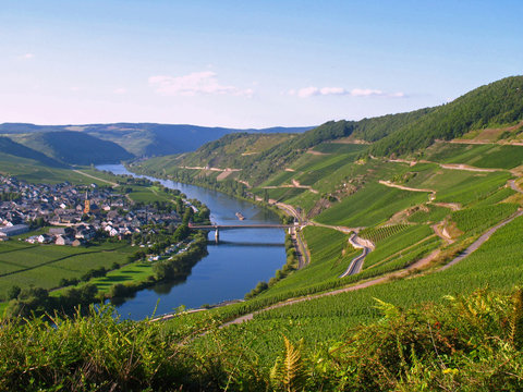 Trittenheim an der Mosel