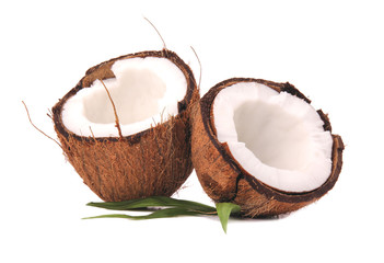 Coconuts on white background