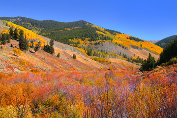 Scenic Rocky mountains