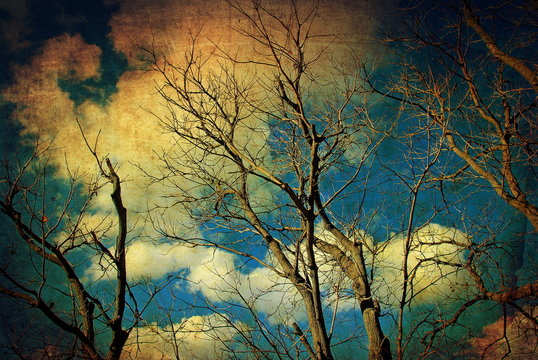 Vintage autumn trees and sky